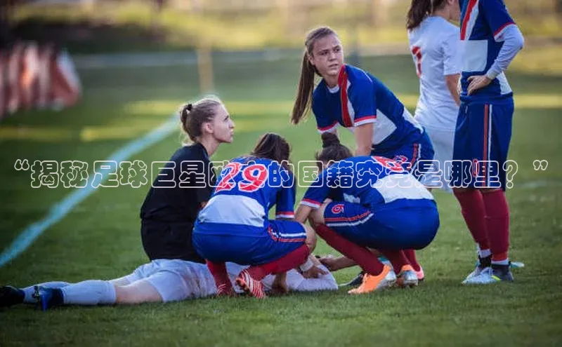 人人体育app安卓版轻美电器