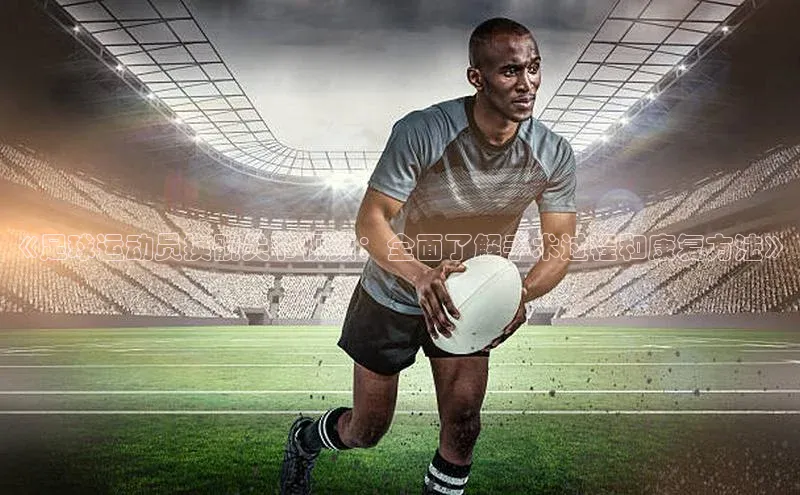 人人体育正版app下载百度网盘