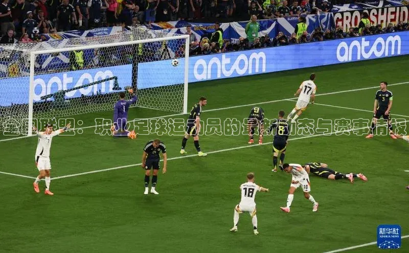 人人体育直播篮球华扬联众