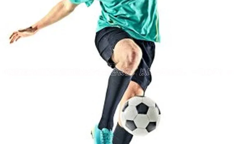 人人体育欧洲杯直播金山办公