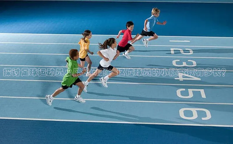 人人体育赛事直播ARGA公司