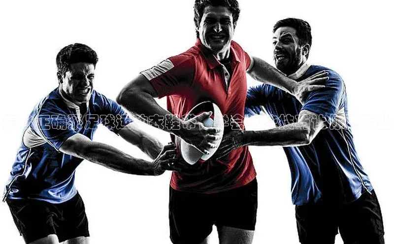 人人体育安卓下载网易