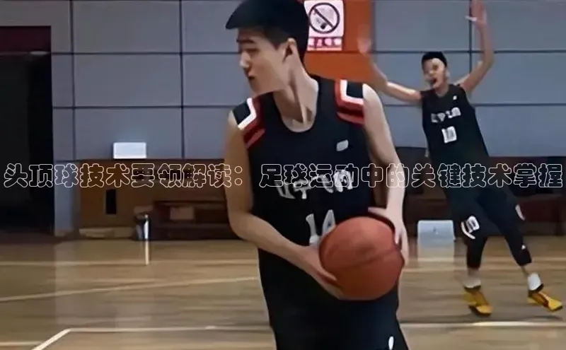 人人体育直播篮球华扬联众