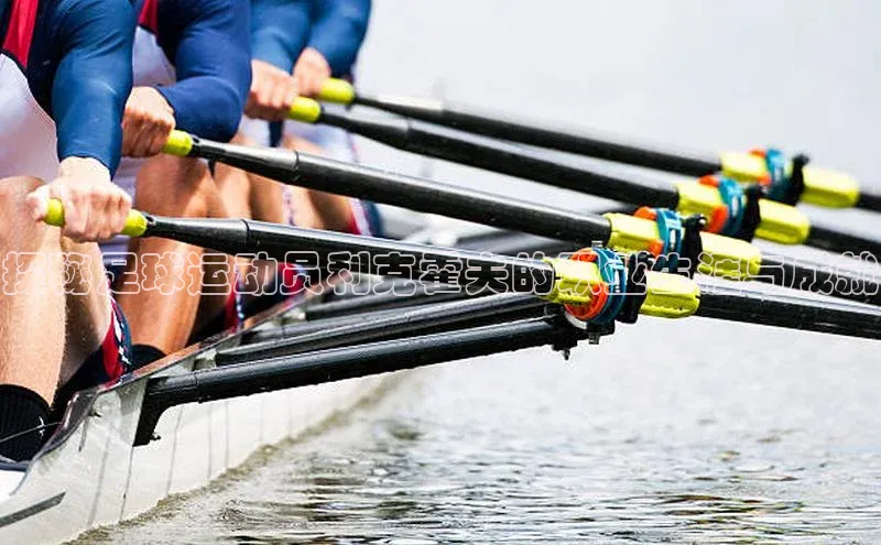 人人体育下载安装雷柏科技