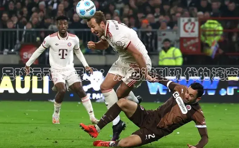 人人体育app安卓版中文在线