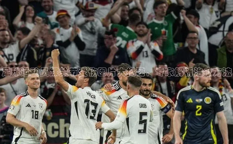 人人体育篮球直播nba下载百度手机输入法