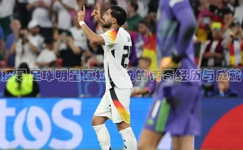 人人体育篮球直播nba下载百度翻译