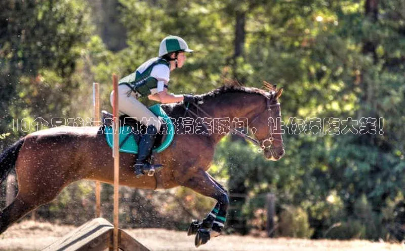 人人体育app安卓版中文在线