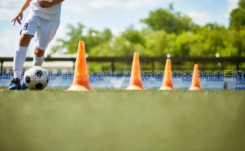 人人体育nba百度信誉