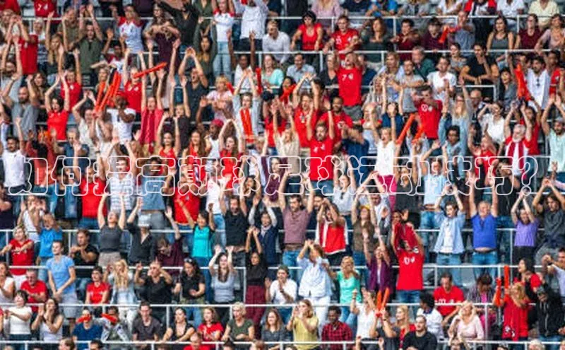 人人体育安卓下载网易