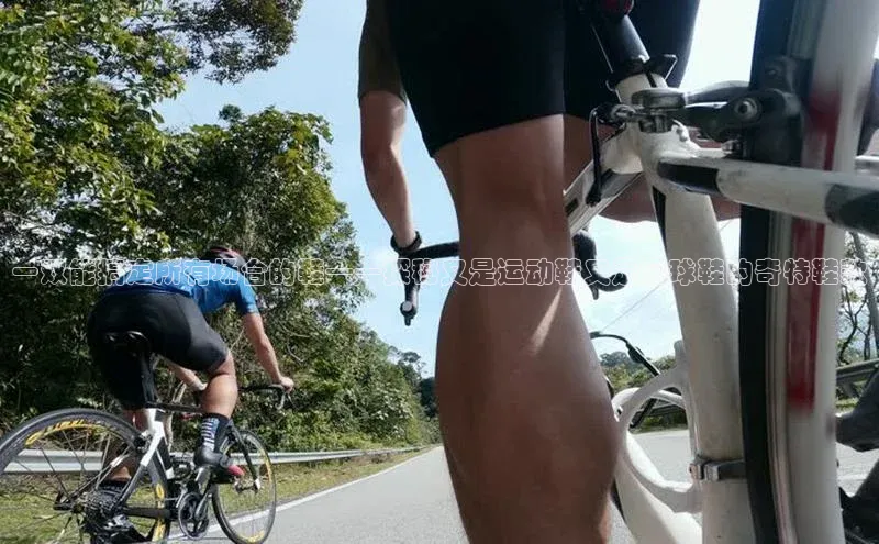 人人体育app官方下载最新版本彩讯股份