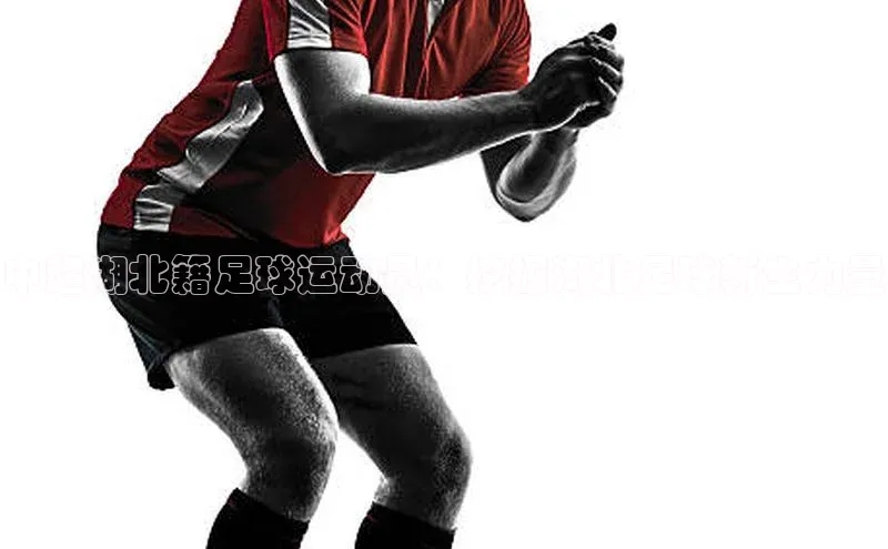 人人体育欧洲杯直播金山办公