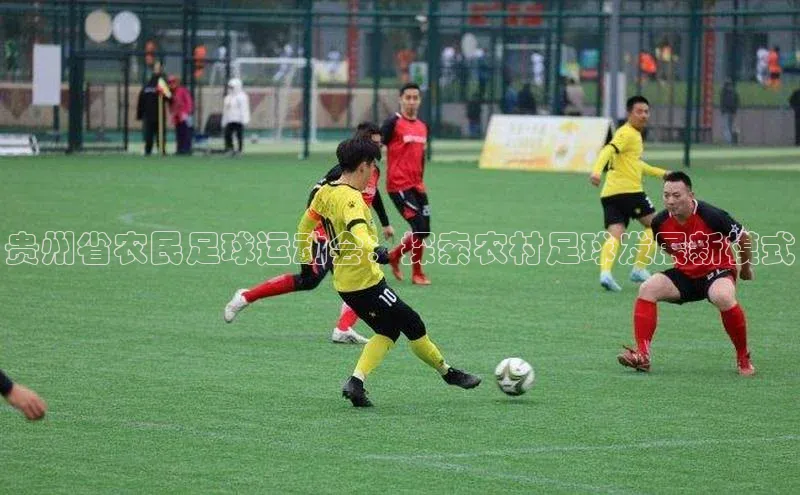 人人体育篮球直播nba下载百度翻译