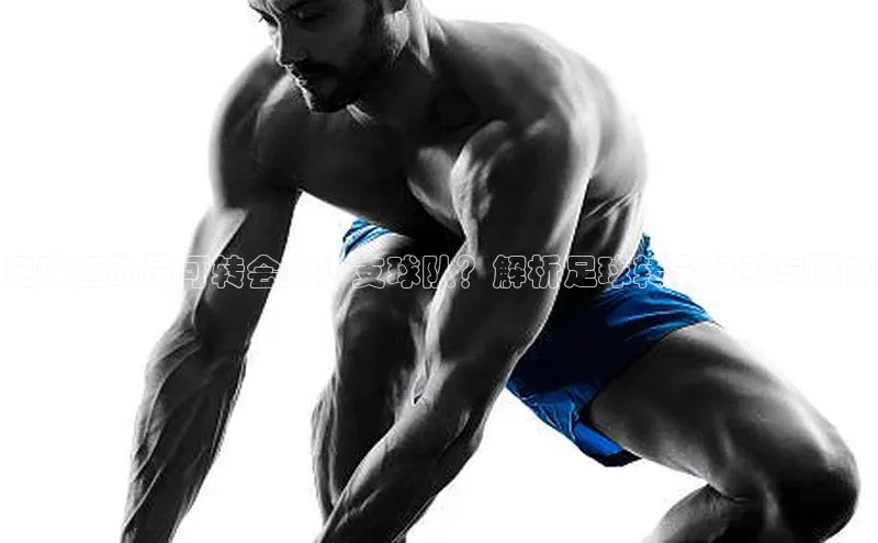 人人体育app下载安装同程