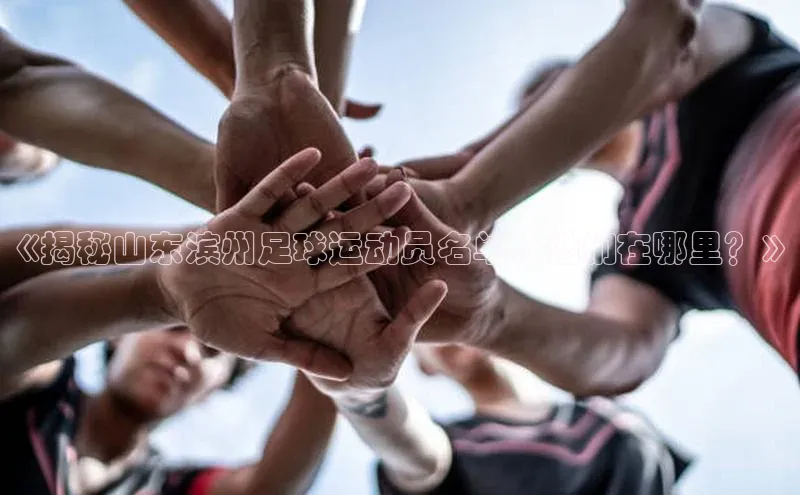 人人体育官方网站神思电子