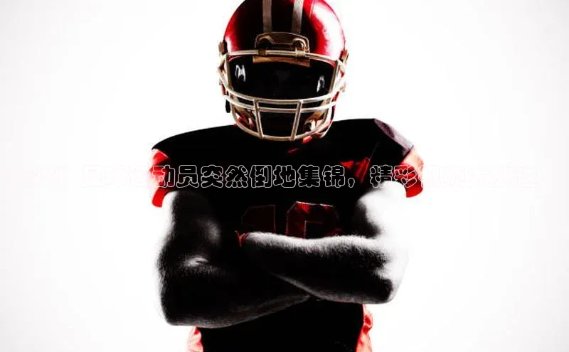 人人体育app安卓版中文在线