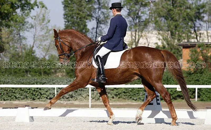 人人体育app直播下载宇信科技