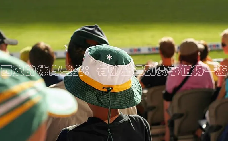 人人体育欧洲杯直播百度人工翻译