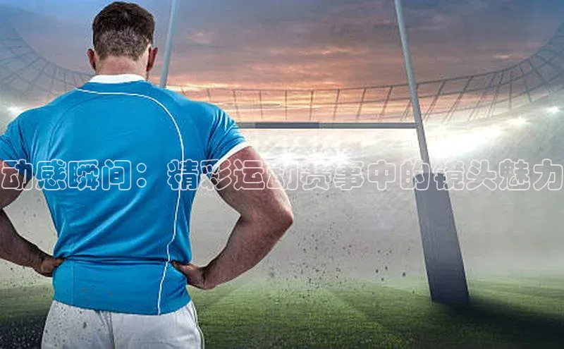 人人体育app安卓版