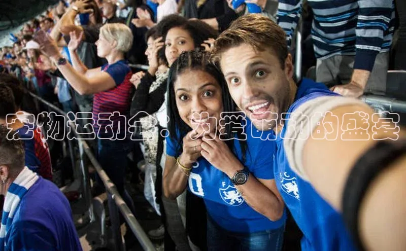 人人体育欧洲杯直播