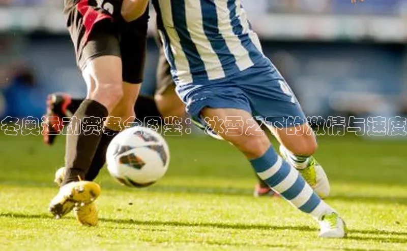 人人体育app官方版