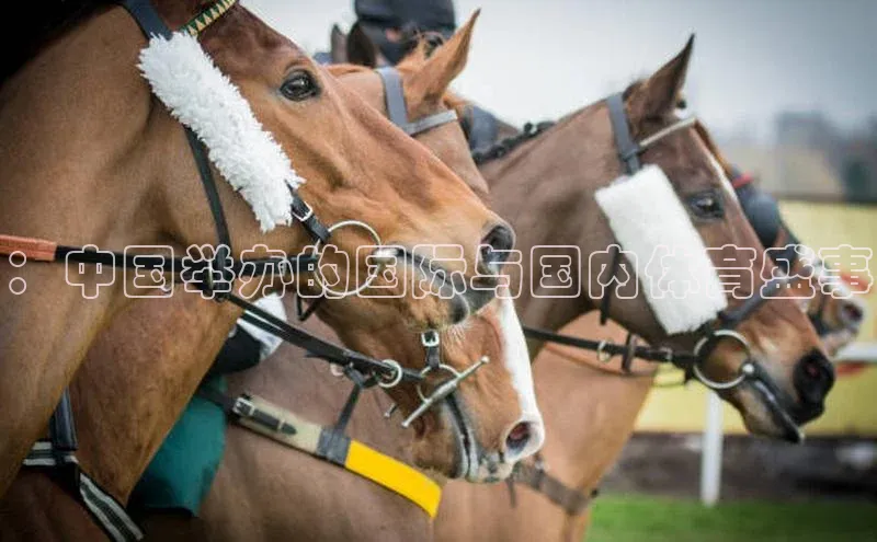 人人体育篮球直播nba下载