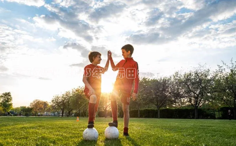 人人体育手机版