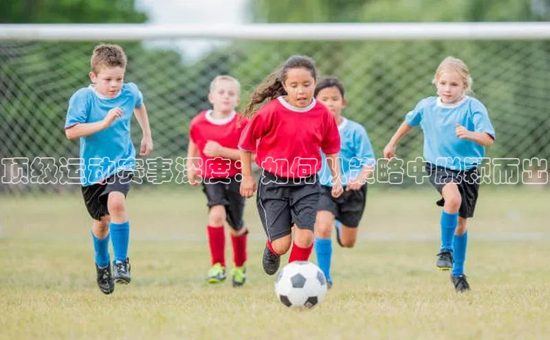 人人体育官方正版下载安装