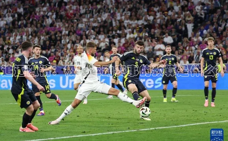 人人体育app安卓版