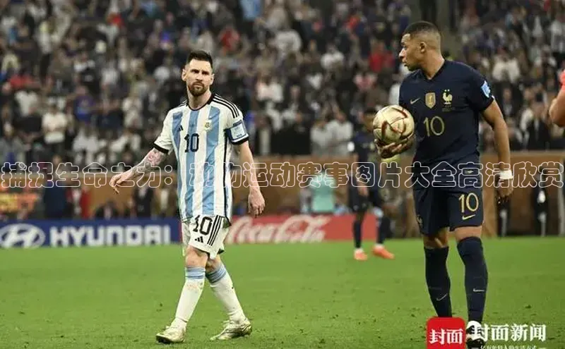 人人体育手机版